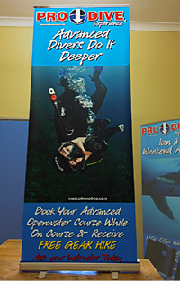 Pro Dive's billboard style advert