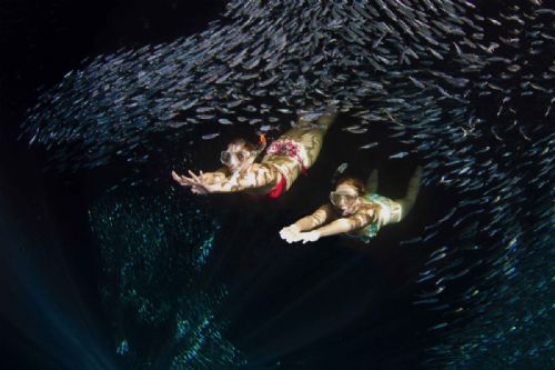 Duck diving in Tonga