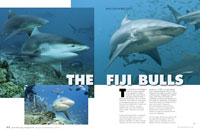 Sport Diving magazine
